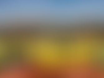 Kid's cross des éveils U10