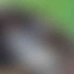 Shapen barefoot boots and extra warm insoles.