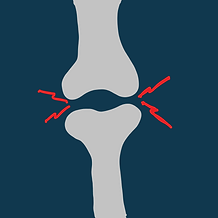 hip and joint.png