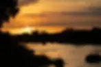 OLIFNATS WEST IMAGE PLACEHOLDER.webp