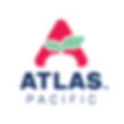 Atlas Pacific Logo
