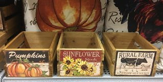 DIY Fall Succulent Garden Class!!!
