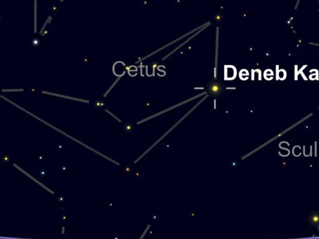 STAR CATALOGUE: Diphda (Cetus) Star Info