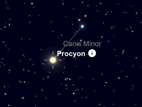 STAR CATALOGUE: Procyon (Canis Minor) Star Info