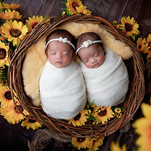 twin newborn photoshoot with sunflowers for their newborn photoshoot in hampshire
