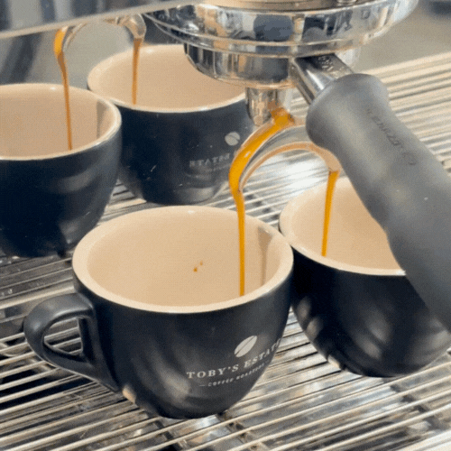 Untitled design (1).gif