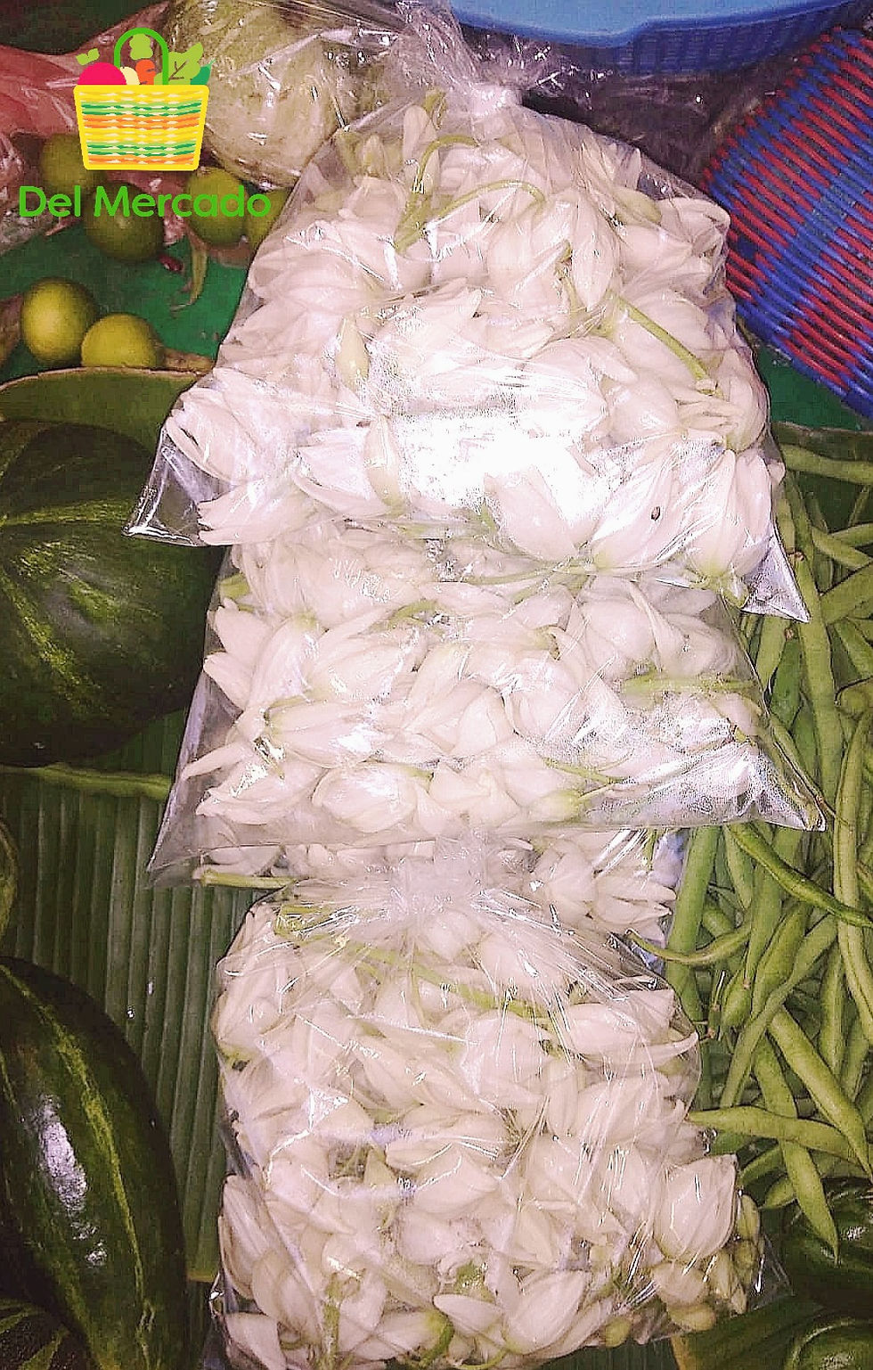 Miniatura: Flor de Izote - Bolsa 