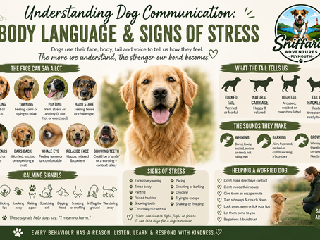 Understanding Dog Communication: Canine Body Language and Signs of Stress