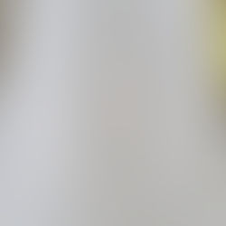 Willow Tree Medicine