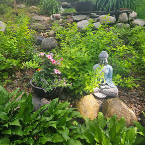 Breathe, Dream, Surrender, Receive: Wisdom Bestowed from My Garden