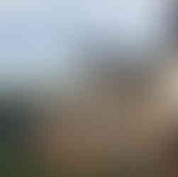 rwakobo latrine before