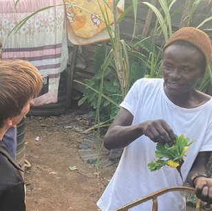 Woman interacting with Ugandan men, holding plants. Nonprofit promoting sustainability in Uganda.