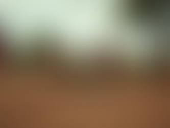 Understanding the Role of Community Development and the Importance of Local Development