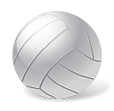 volleyball_ball.png