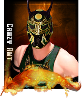 Crazy Ant