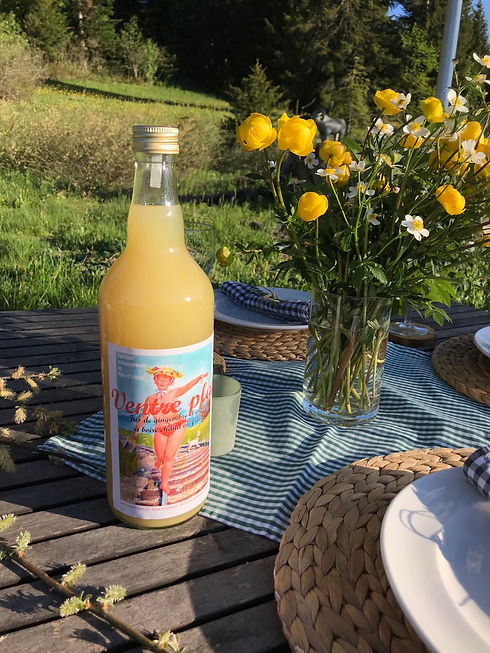 Découvre Jus Ventre Plat en Suisse, la boisson énergisante naturelle au jus de gingembre citron, qui favorise le ventre plat, le transit intestinal, la perte de poids et agit comme un booster des défenses immunitaires.