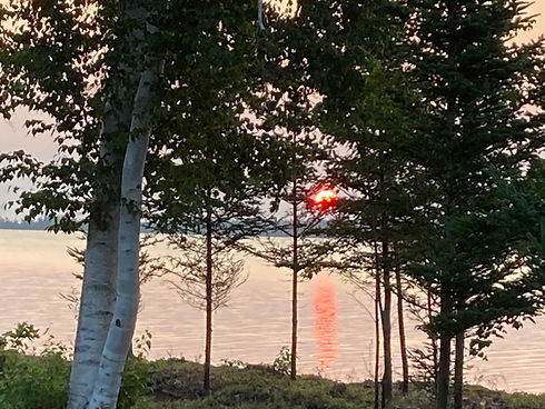 Setting sun glowing through trees over a calm ocean view