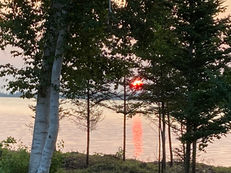 Red sunset over a calm ocean/bay seen through trees