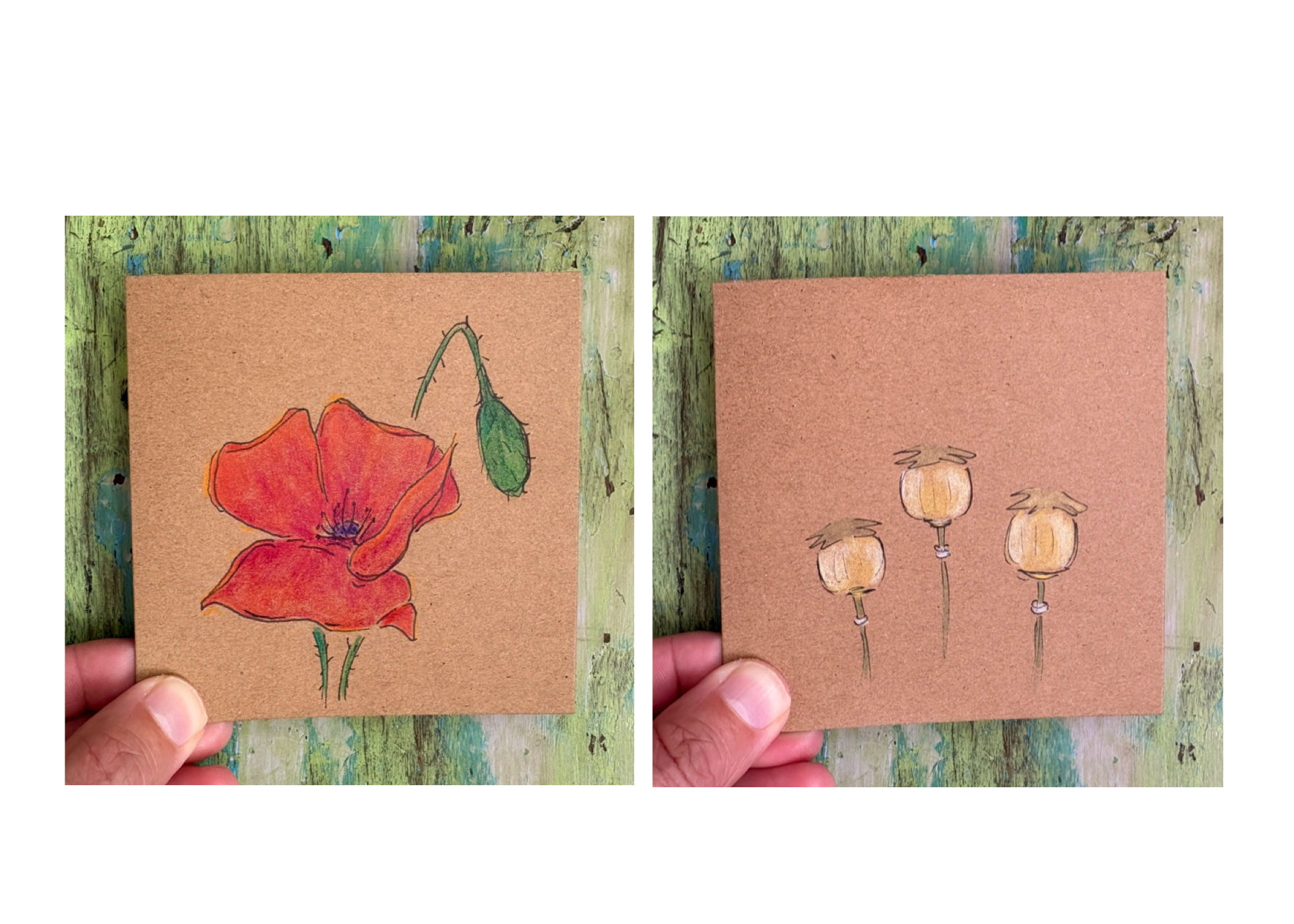 Poppies (a set of 2 cards)