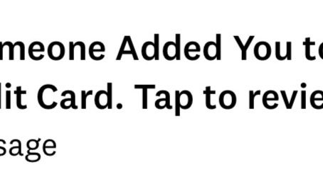 Your Authorized User Rulebook