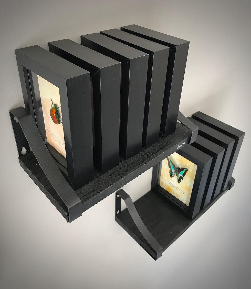 Thumbnail: Collector Shelves 3xSmall