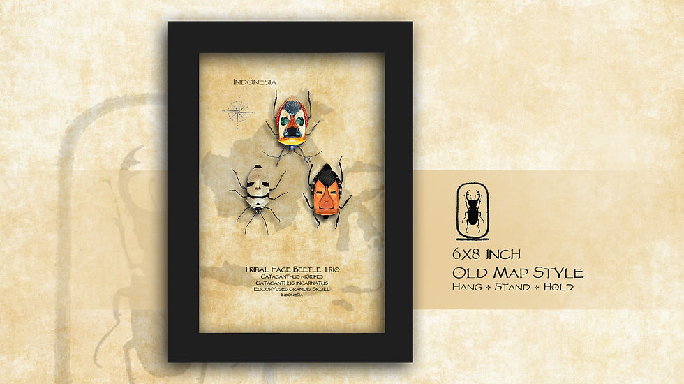 Thumbnail: Tribal Faces Trio