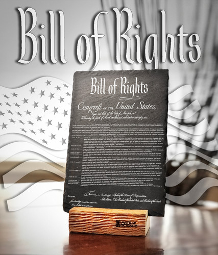 USA Bill of Rights | Arts of Science