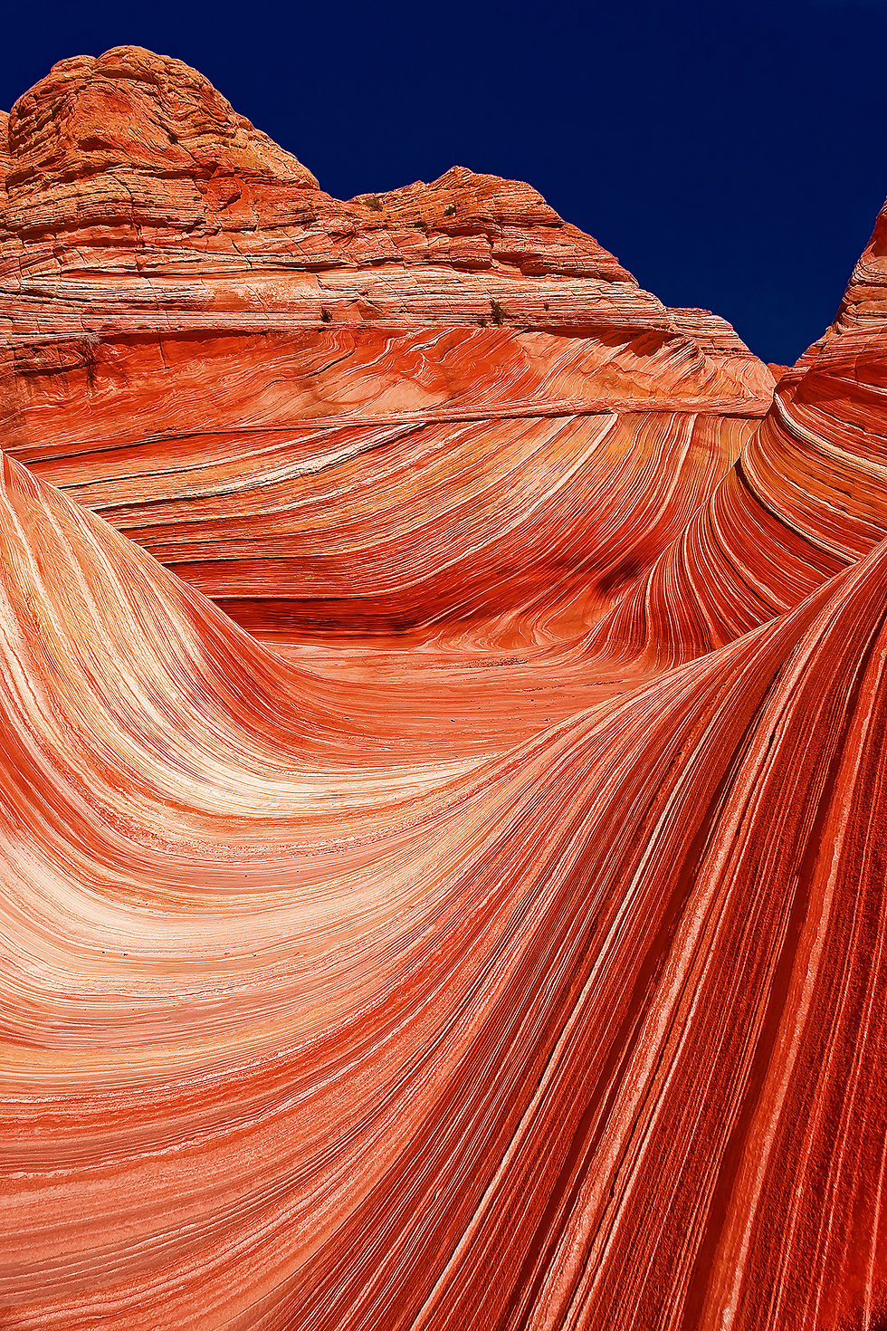 Twisted World FF3212