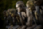 9_Dot_Thinkers-6055.JPG