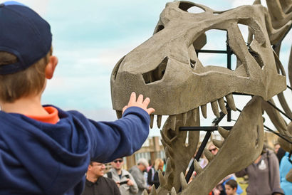 A child reaches towards a T-Rex skeleton puppet