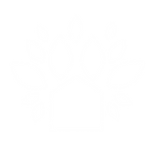 Untitled design (8).png