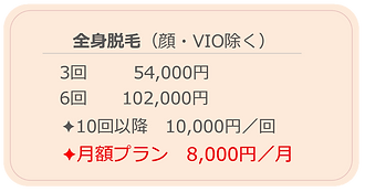 Agu 全身脱毛コース