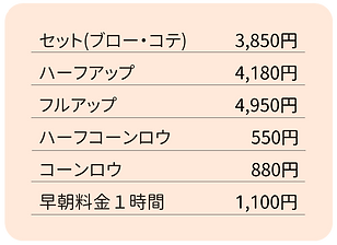 ヘアセット.png