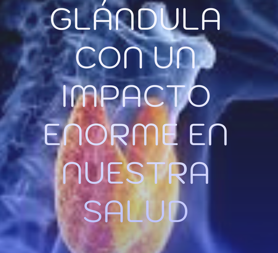 Día Mundial de la Tiroides