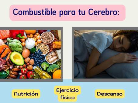 Alimenta tu mente, que siempre haya combustible para tu cerebro con nutrición adecuada, ejercicio físico y descanso