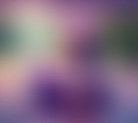 Bildrechte – sicher und Strafe vermeiden