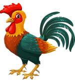 Tiere_ING_18984_28745_Hahn_edited.png