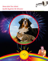 Hund und Katze vor Feuerwerk