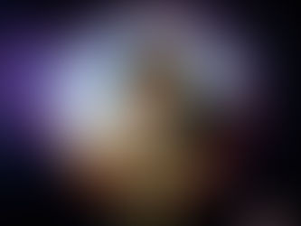 Hund und Katze vor Feuerwerk