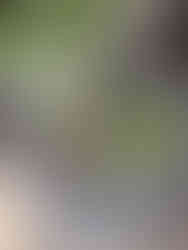 Handgefertigtes Osternest auf einem Tisch von la Fleur