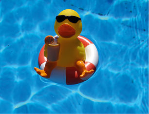 Grafik leicht gemacht – der unglaublich einfache Weg mit der KreativEnte