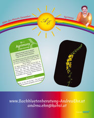 Bachblueten Karten Set Nr. 1 - Agrimony
