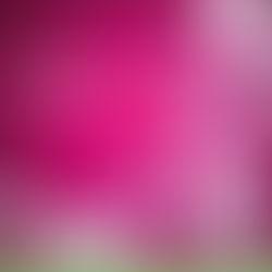 Herzen, die durch die Luft fliegen