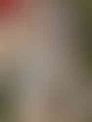 Zwei Osterhasen aus Keramitk sitzen auf einem Tisch vor dem Blumengeschaeft la Fleur