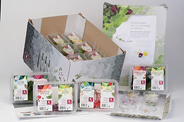 Live-Workshop: Kann Kresse nach Austern schmecken? (Wien)
