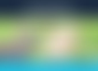 Was der Osterhase in seinem Blog schreibt