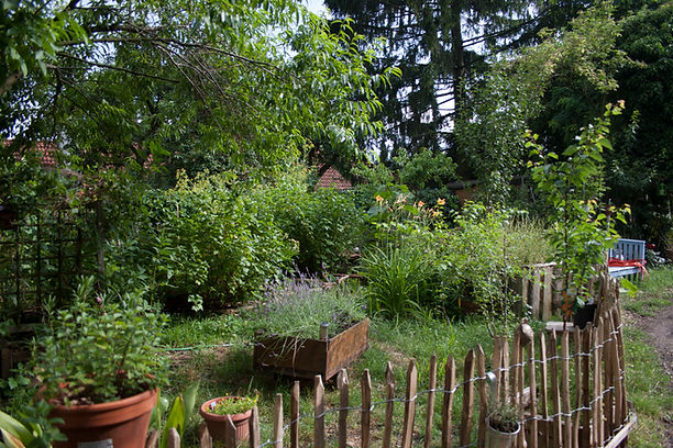 HaselhofNatur1.JPG