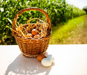 Koerbchen mit Eiern auf einem Tisch vor einem Feld