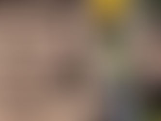 How to Spot a Roof Leak