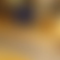 Why Proper Attic Insulation Is Essential for Your Roof